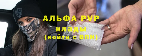 эйфоретик Арсеньев