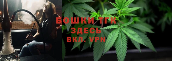 эйфоретик Арсеньев