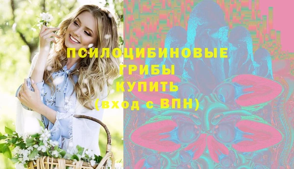 эйфоретик Арсеньев