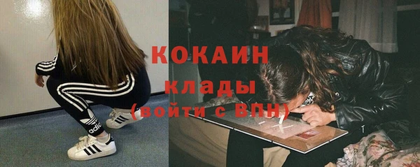 эйфоретик Арсеньев