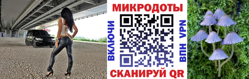 Галлюциногенные грибы Psilocybine cubensis Урай